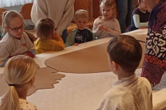 K800_IMG_20250215_094734