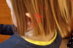 K800_IMG_20250215_103753