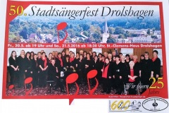 Stadtsaefest1.1